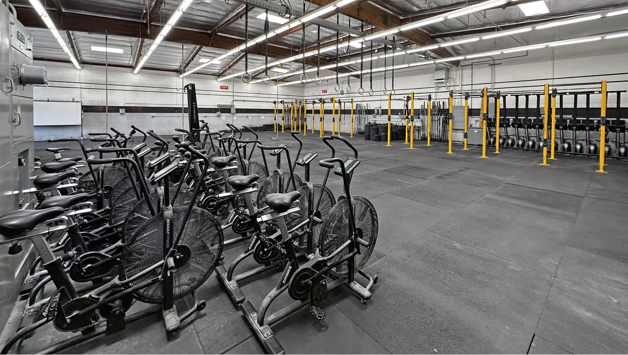 Rowers and conditioning machines at Team RepScheme